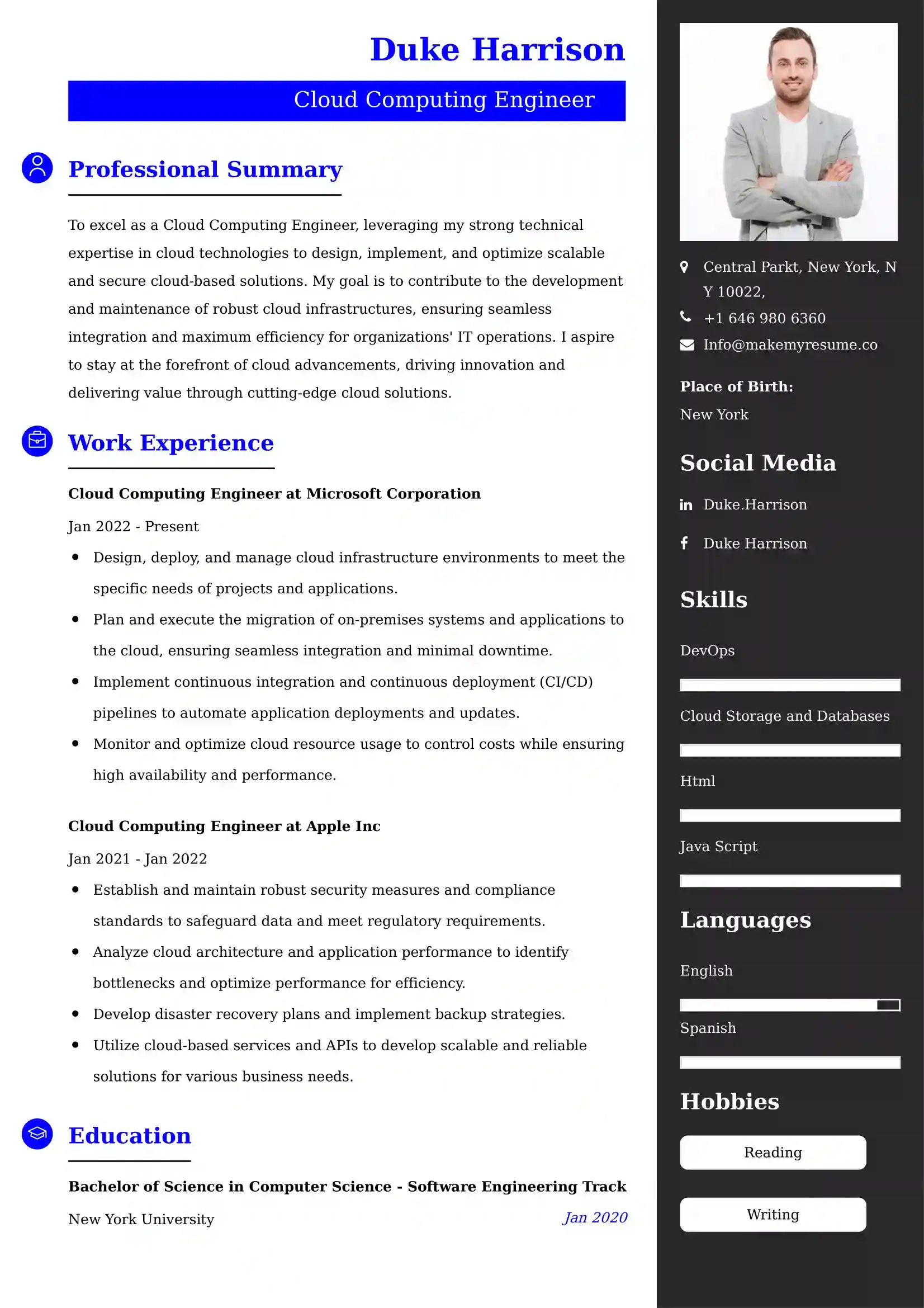 42+ Professional Computers & Software Resume Examples, Latest CV Format
