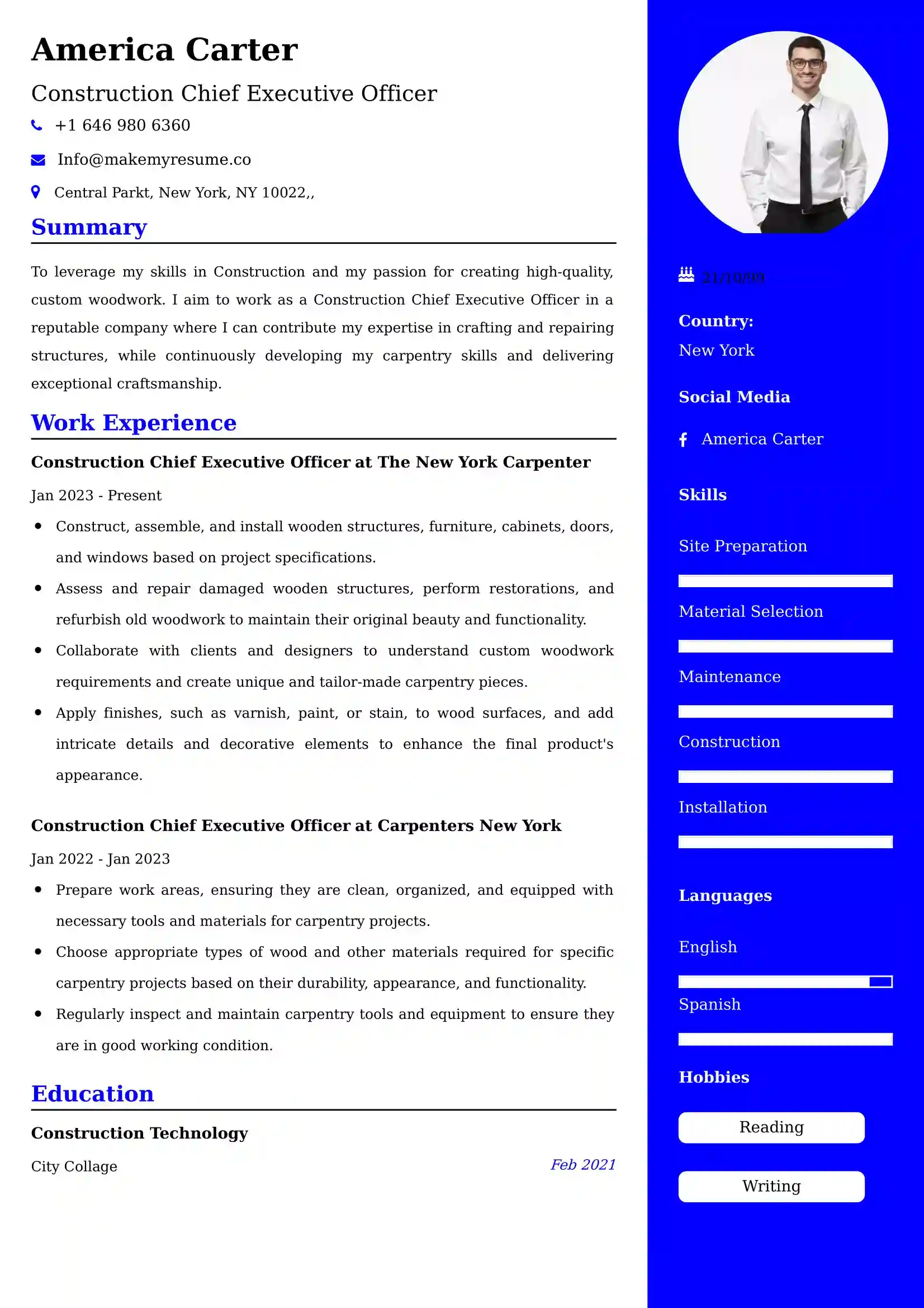 Construction Chief Executive Officer Resume Examples - UK Format, Latest Template.